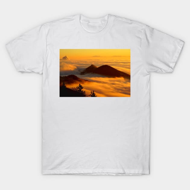 Beautiful Foggy Mountaintop T-Shirt by psanchez